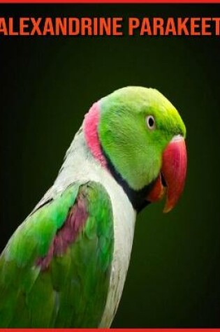 Cover of Alexandrine Parakeet