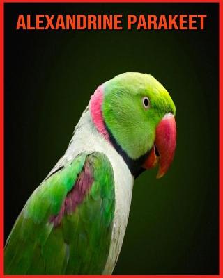 Book cover for Alexandrine Parakeet