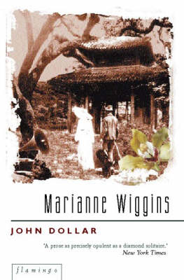 Book cover for John Dollar