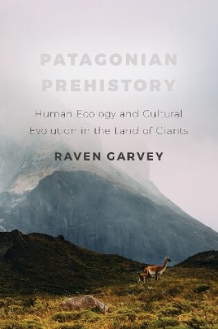 Cover of Patagonian Prehistory