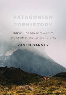 Book cover for Patagonian Prehistory