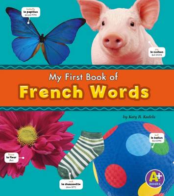 Cover of Bilingual Picture Dictionaries Pack A of 6