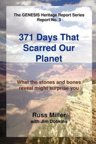 Cover of 371 Days That Scarred Our Planet