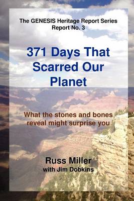 Book cover for 371 Days That Scarred Our Planet