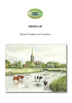 Book cover for Drying Up