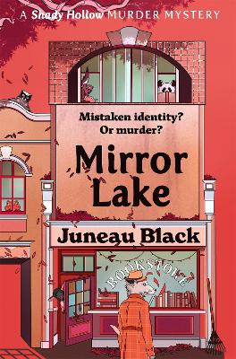 Book cover for Mirror Lake