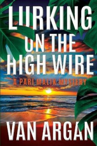 Cover of Lurking on the High Wire