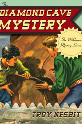 Cover of The Diamond Cave Mystery