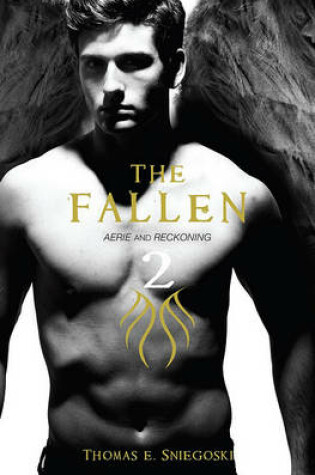 Cover of Fallen 2: Aerie and Reckoning