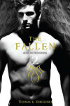 Book cover for Fallen 2: Aerie and Reckoning