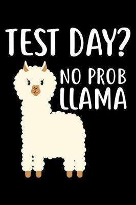 Book cover for Test Day? No Prob Llama