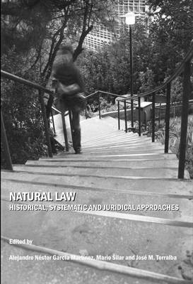 Book cover for Natural Law