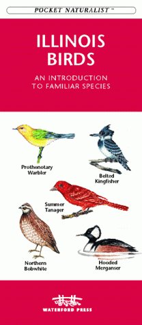 Cover of Illinois Birds
