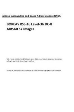 Cover of Boreas Rss-16 Level-3b DC-8 Airsar Sy Images