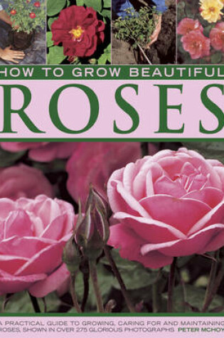 Cover of How to Grow Beautiful Roses