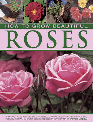 Book cover for How to Grow Beautiful Roses