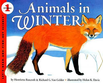 Book cover for Animals in Winter