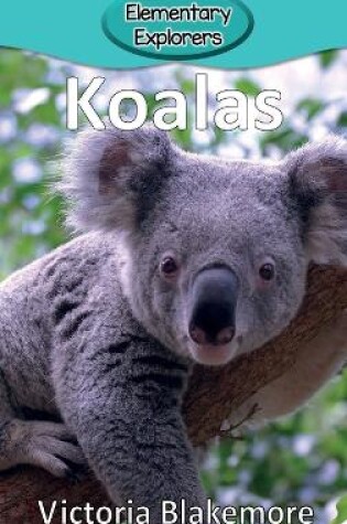 Cover of Koalas