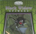 Book cover for Black Widow Spiders