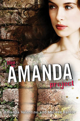 Book cover for The Amanda Project