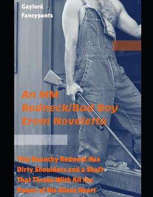 Book cover for This Raunchy Redneck Has Dirty Shoulders and a Shaft That Throbs with All the Power of His Silent Heart