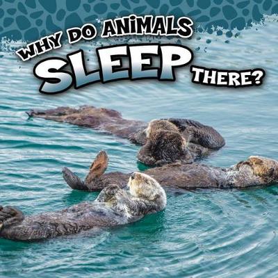 Cover of Why Do Animals Sleep There?