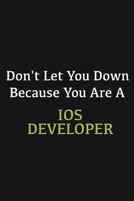 Book cover for Don't let you down because you are a IOS developer