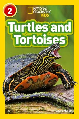 Book cover for Turtles and Tortoises