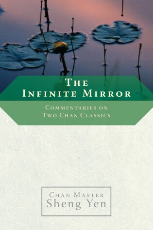 Cover of The Infinite Mirror