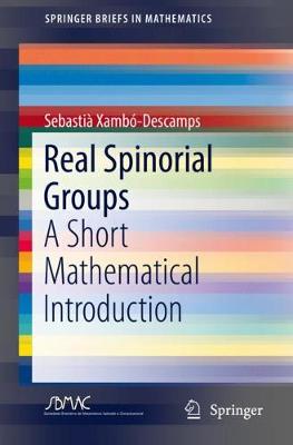 Cover of Real Spinorial Groups