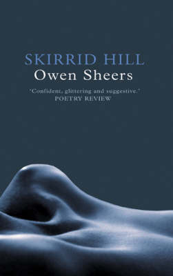 Book cover for Skirrid Hill