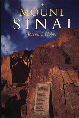 Book cover for Mount Sinai