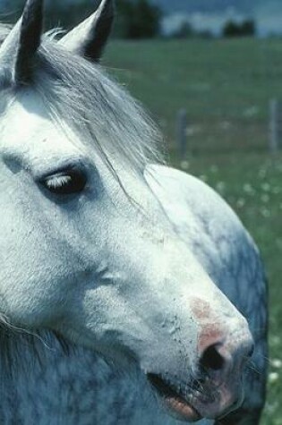 Cover of 2020 Daily Planner Horse Photo Equine Dappled Grey Flowered Pasture 388 Pages