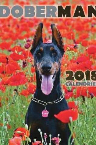 Cover of Doberman 2018 Calendrier (Edition France)