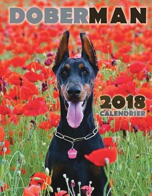 Book cover for Doberman 2018 Calendrier (Edition France)