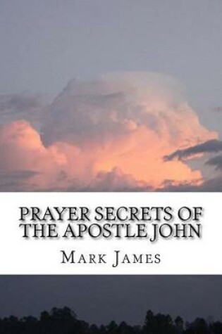 Cover of Prayer Secrets of the Apostle John