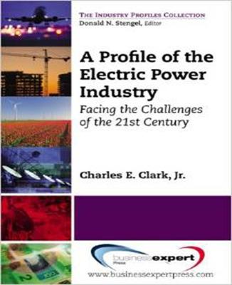 Book cover for A Profile of the Electric Power Industry: Facing the Challenges of the 21st Century