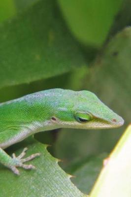 Book cover for Little Green Lizard Up Close in the Garden Reptile Journal