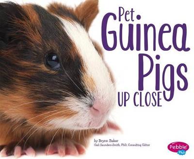 Cover of Pet Guinea Pigs Up Close