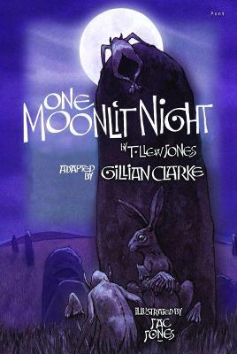 Book cover for One Moonlit Night (T. Llew Jones)