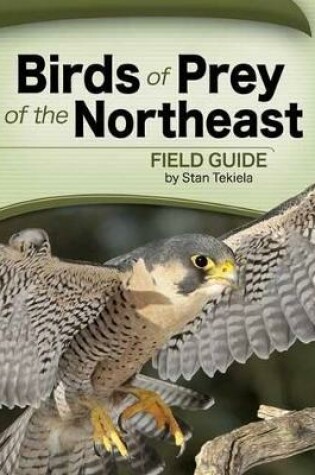 Cover of Birds of Prey of the Northeast Field Guide