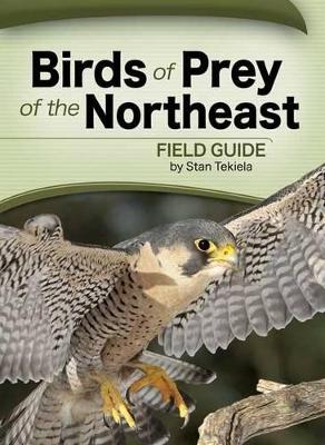 Book cover for Birds of Prey of the Northeast Field Guide