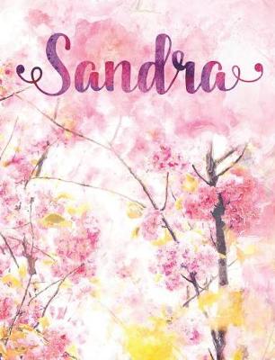 Book cover for Sandra