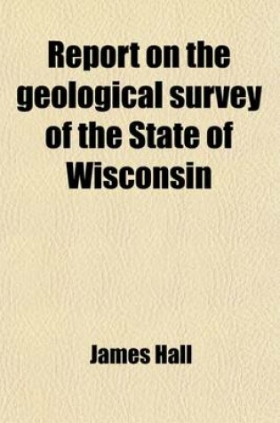 Cover of Report on the Geological Survey of the State of Wisconsin (Volume 2)