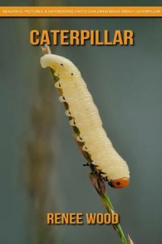 Cover of Caterpillar