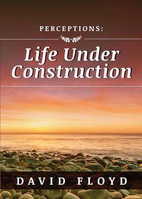 Book cover for Perceptions