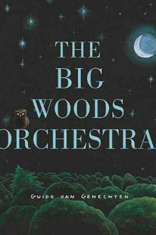 Cover of The Big Woods Orchestra
