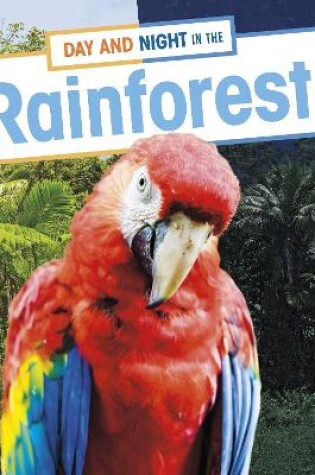 Cover of Day and Night in the Rainforest