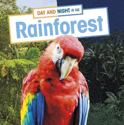 Book cover for Day and Night in the Rainforest