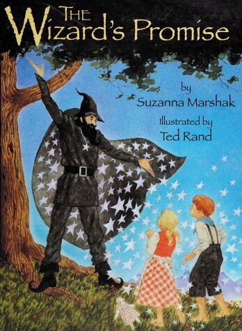 Book cover for The Wizard's Promise